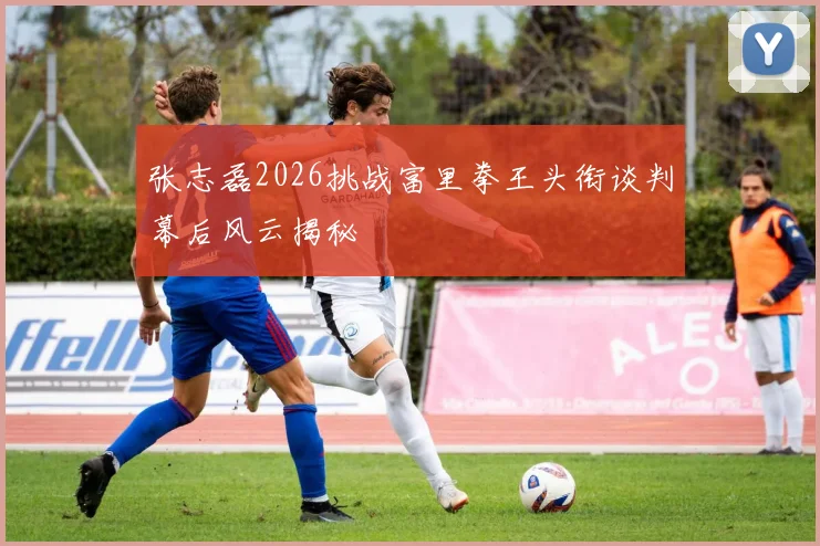张志磊2026挑战富里拳王头衔谈判幕后风云揭秘