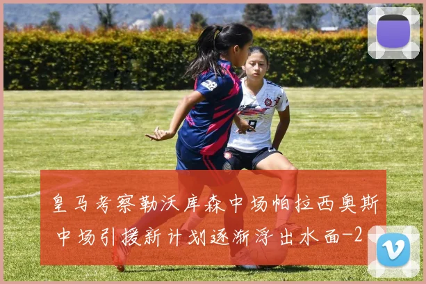 皇马考察勒沃库森中场帕拉西奥斯 中场引援新计划逐渐浮出水面