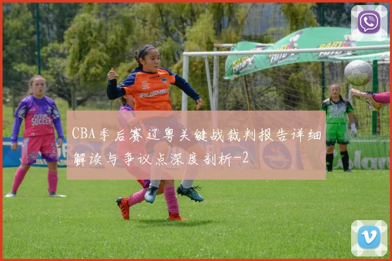 CBA季后赛辽粤关键战裁判报告详细解读与争议点深度剖析