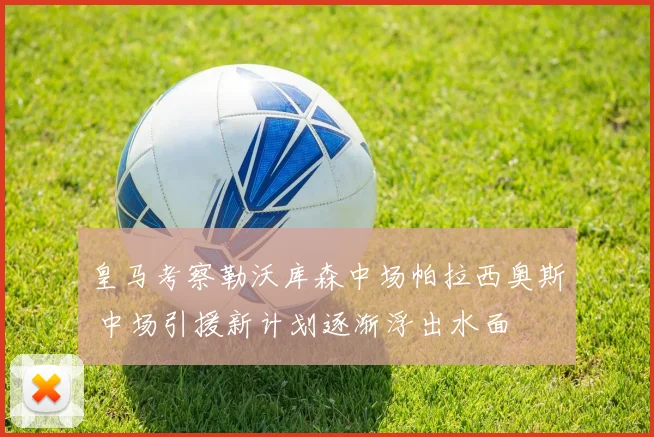 皇马考察勒沃库森中场帕拉西奥斯 中场引援新计划逐渐浮出水面