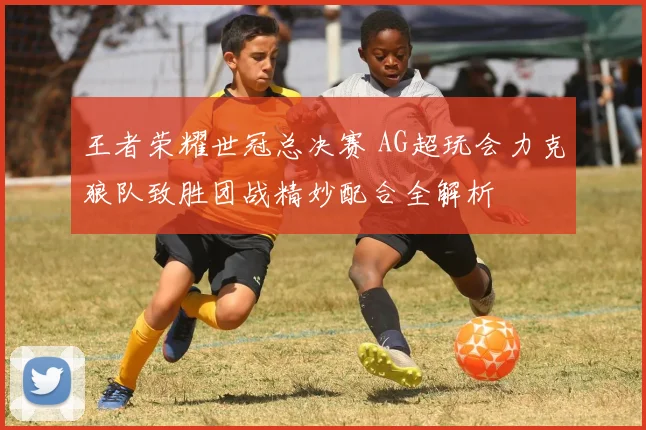 王者荣耀世冠总决赛 AG超玩会力克狼队致胜团战精妙配合全解析