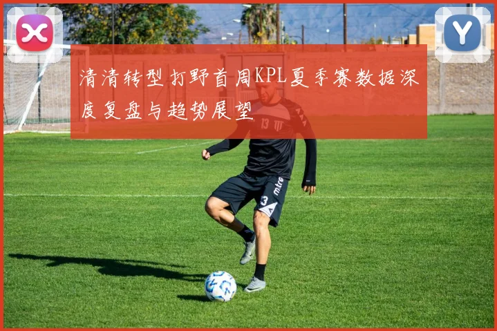 清清转型打野首周KPL夏季赛数据深度复盘与趋势展望